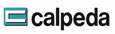 Logo - CelpedaLeader Pools
